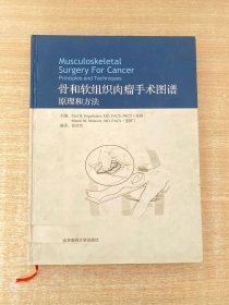 骨和软组织肉瘤手术图谱：原理和方法