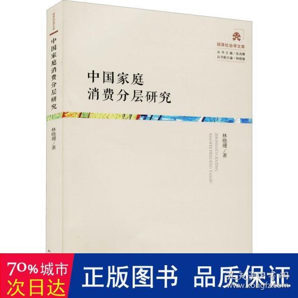 中国家庭消费分层研究