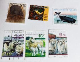 大洋洲邮票5(新西兰)~鸟类/哺乳动物专题--粗腿鹪鹩(绝灭)/小斑几维鸟/抹香鲸/库普沃斯绵羊/德莱斯代羊/南萨福克羊