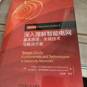 深入理解智能电网：基本原理、关键技术与解决方案