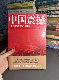 中国震撼：一个“文明型国家”的崛起