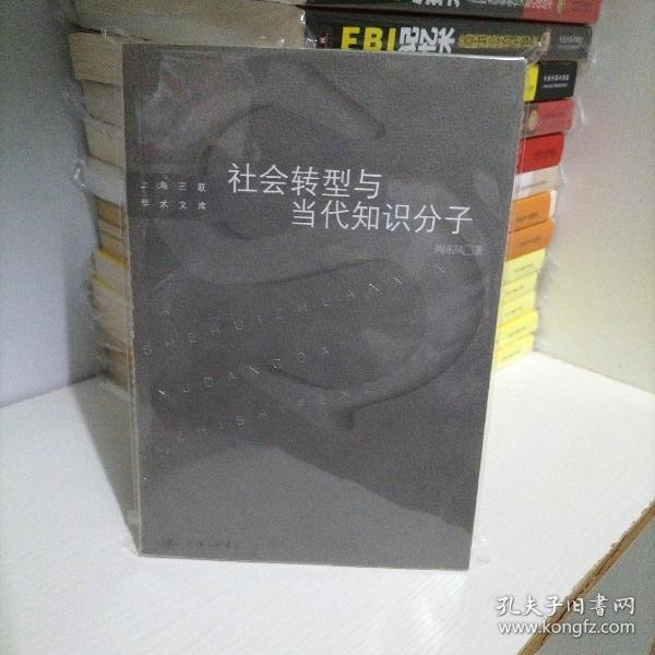 社会转型与当代知识分子
