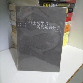 社会转型与当代知识分子