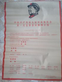 中国共产党第九届中央委员会第一次全体会议新闻公报