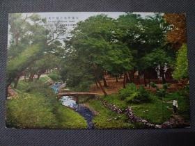02458  辽宁 大连 中央公园 风光 民国 时期 老 明信片