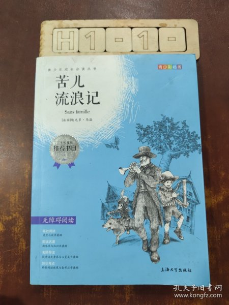 钟书图书·我最优阅·青少版彩插版·苦儿流浪记（第二辑）