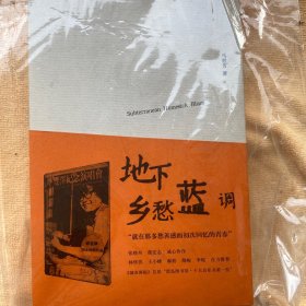 地下乡愁蓝调 广西师范大学出版社 白鸽书世界