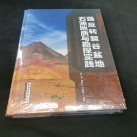 强反转裂谷盆地石油地质与勘探实践