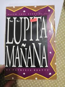 Lupita Manana(LMEB22872-I13)