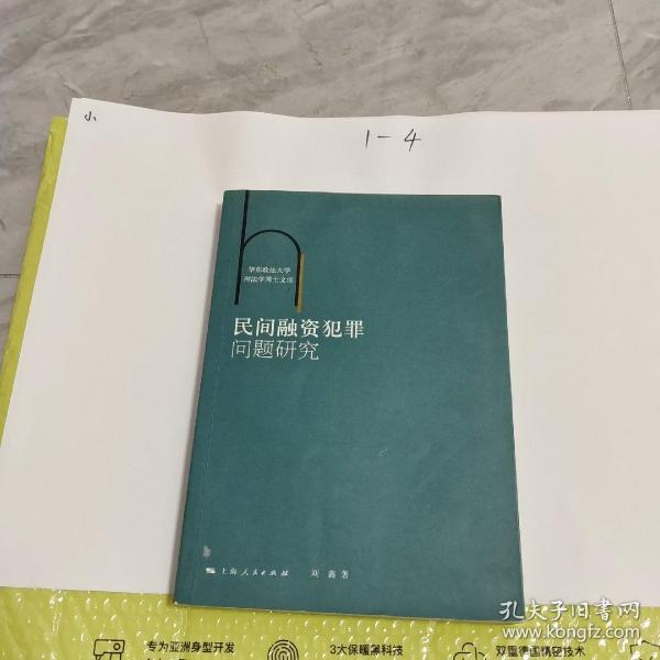 华东政法大学刑法学博士文库：民间融资犯罪问题研究