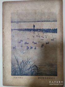 摄影图片《太湖滨的养鸭副业》，1950年的杂志一页，16开大小。作者任微音。反面，《天安门之夜》，狄源沧（著名摄影家，江苏太仓市人）摄影。并有一篇散文。任微音，云南昆明人.自幼生长上海。1936年毕业于新华艺专。入上海美专研究所，师从王济远、兼听黄宾虹、姜丹书国画课。1938年举办个展，受前辈吕凤子、陈之佛、潘天寿赞赏，进重庆国立艺专任教。50年代中期于上海自创“东方画室”