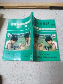 国际象棋战略战术初阶：中国国际象棋增刊