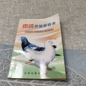 肉鸽养殖新技术