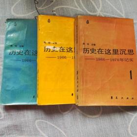 历史在这里沉思1966-1976年记实