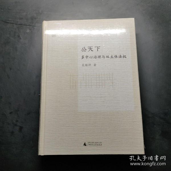 ..公天下：多中心治理与双主体法权