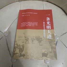 一条光明大道：横山起义文献资料辑要