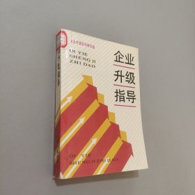 企业升级指导