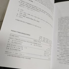 河南省矿产资源化探信息应用研究
