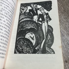 道连格雷的画像（插图本）