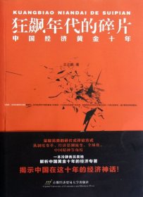 狂飙年代的碎片：中国经济黄金十年