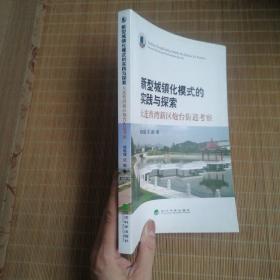 新型城镇化模式的实践与探索-大连普湾新区炮台街道考察