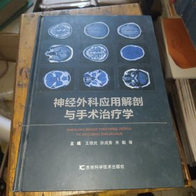 神经外科应用解剖与手术治疗学