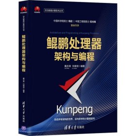 二手 鲲鹏处理器架构与编程 戴志涛 清华大学出版社 9787302562689