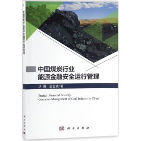 【正版书籍】中国煤炭行业能源金融安全运行管理