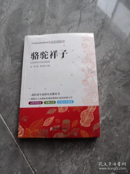 骆驼祥子/学生成长必读经典名著