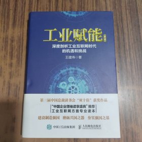 工业赋能：深度剖析工业互联网时代的机遇和挑战（第2版）