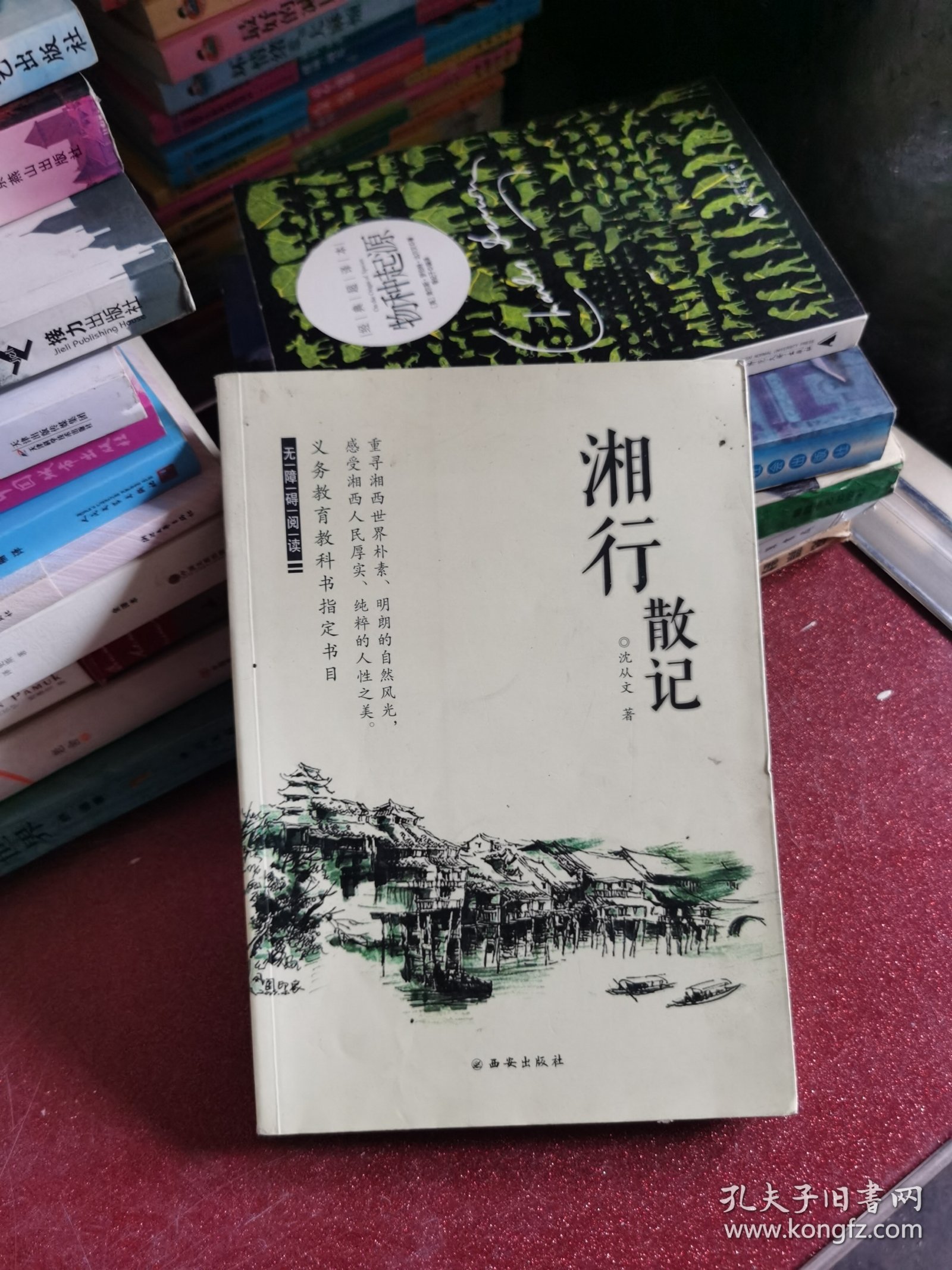 湘行散记--义务教育推荐书单
