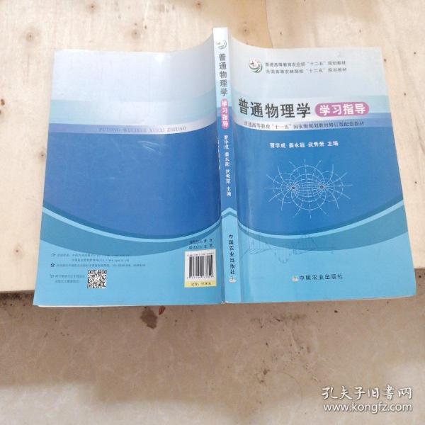 普通物理学学习指导/普通高等教育“十一五”国家级规划教材修订版配套教材