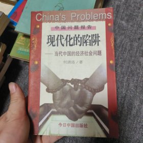 中国问题报告：现代化的陷阱