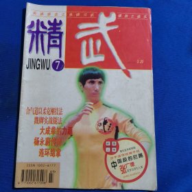 11570：武林 1996年第7期 中国跤的拦踢；大成拳的力源；戳脚实战腿法；连环绵掌；八卦掌的特点；