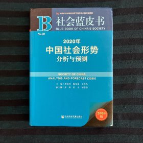 社会蓝皮书：2020年中国社会形势分析与预测