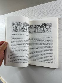 琴史新编（正版如图、内页干净）