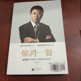 惊鸿一瞥：CCTV首席财经主播陈伟鸿自述