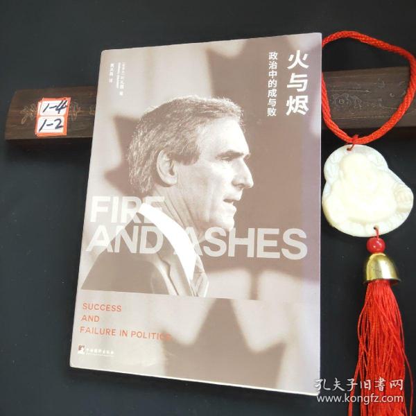 火与烬：政治中的成与败