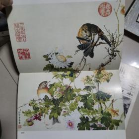 名画经典:百集珍藏本.国画系列.14.郎世宁工笔花鸟