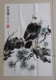 国画 大展宏图（鹰与松树）王小丫作