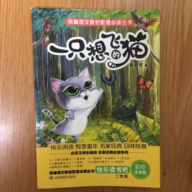 一只想飞的猫（二年级上册快乐读书吧）