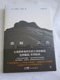 坚韧之石（法国龚古尔文学奖获奖作品，一曲关于阿富汗女性的悲歌，《追风筝的人》作者胡赛尼作序，诺奖提名作家拉希米力作）