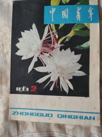 中国青年1981年2