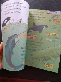 A Whale of a Tale!: All About Porpoises, Dolphins, and Whales (Cat in the Hat's Learning Library)鲸鱼的故事