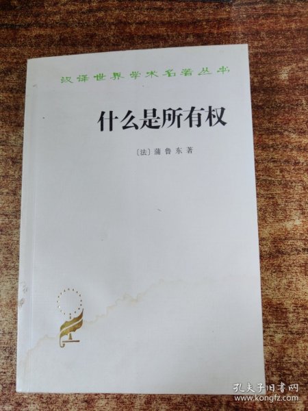 什么是所有权