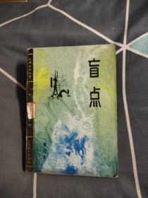 盲点，4.89元包邮，
