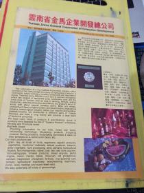 大理市食品工业公司 云南省金马企业开发总公司 云南资料 广告纸 广告页
