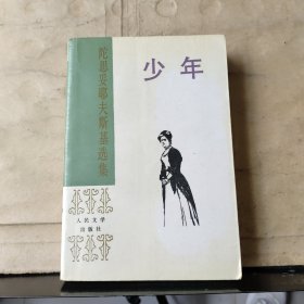 陀思妥耶夫斯基选集：少年【1993年一版一印】