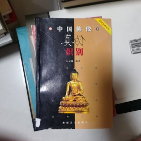 中国佛像真伪识别 鉴赏宝典系列