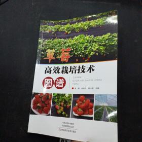 草莓高效栽培技术图谱